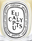 Eucalyptus Classic Candle
