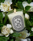 Gardenia Classic Candle