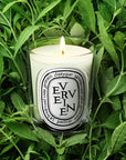 Verveine Classic Candle
