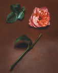 Rose Mosaïque Extrait de Parfum