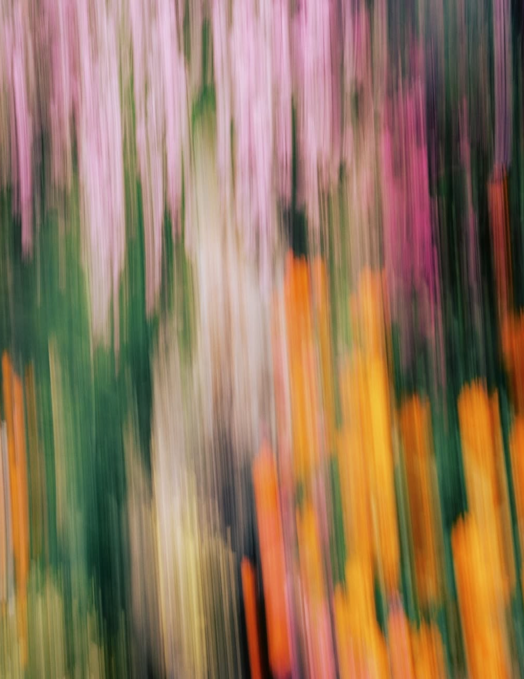 Parfymeleksikonet: Aldehyder