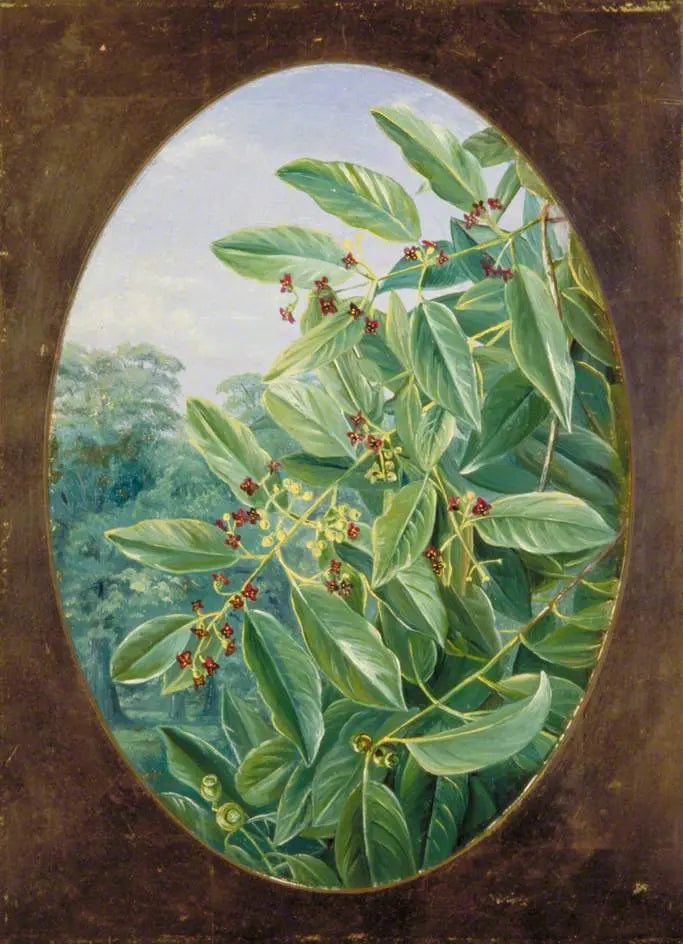 Parfyme: trend eller tidløst?