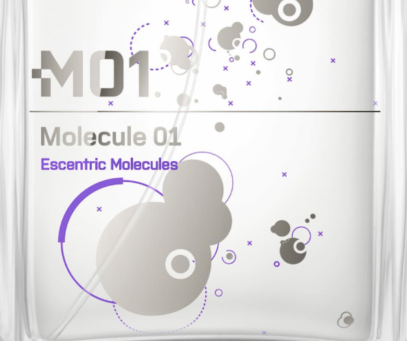 E står for Escentric Molecule 01