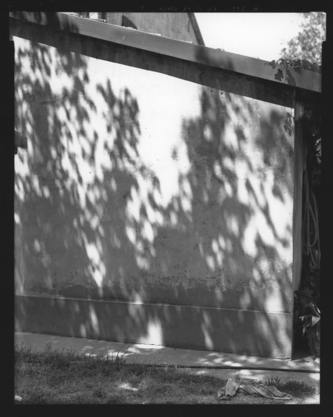 Appelsinblomstens årstider