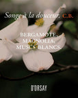 C.B. Songe à la douceur