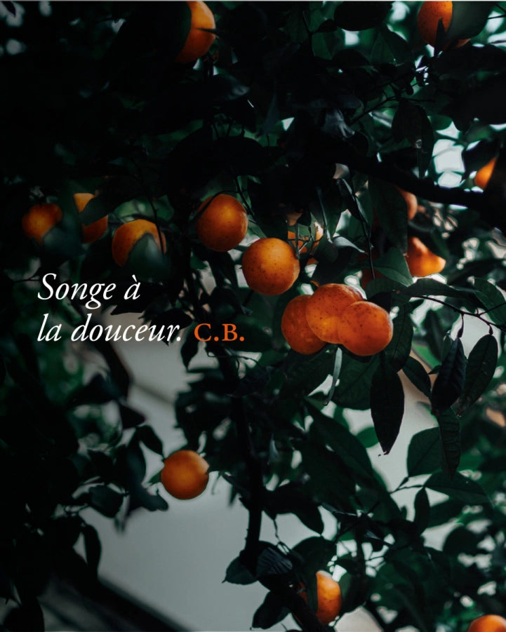 C.B. Songe à la douceur