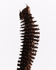 Lash Lacquer Mascara