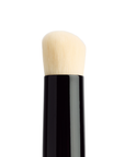 Blur Brush