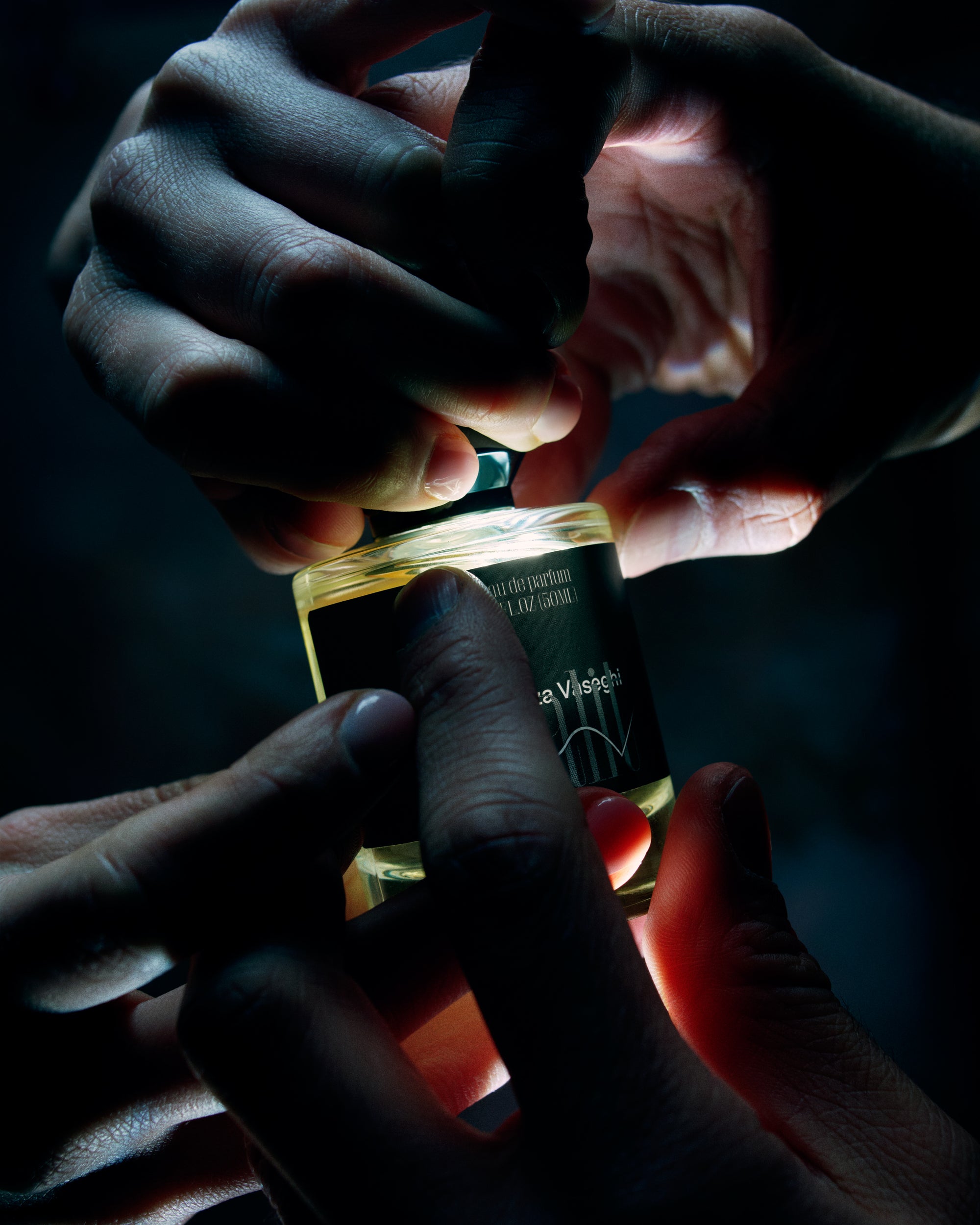 Kalit x Morteza Vaseghi