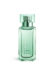 Aqua Media 35ml