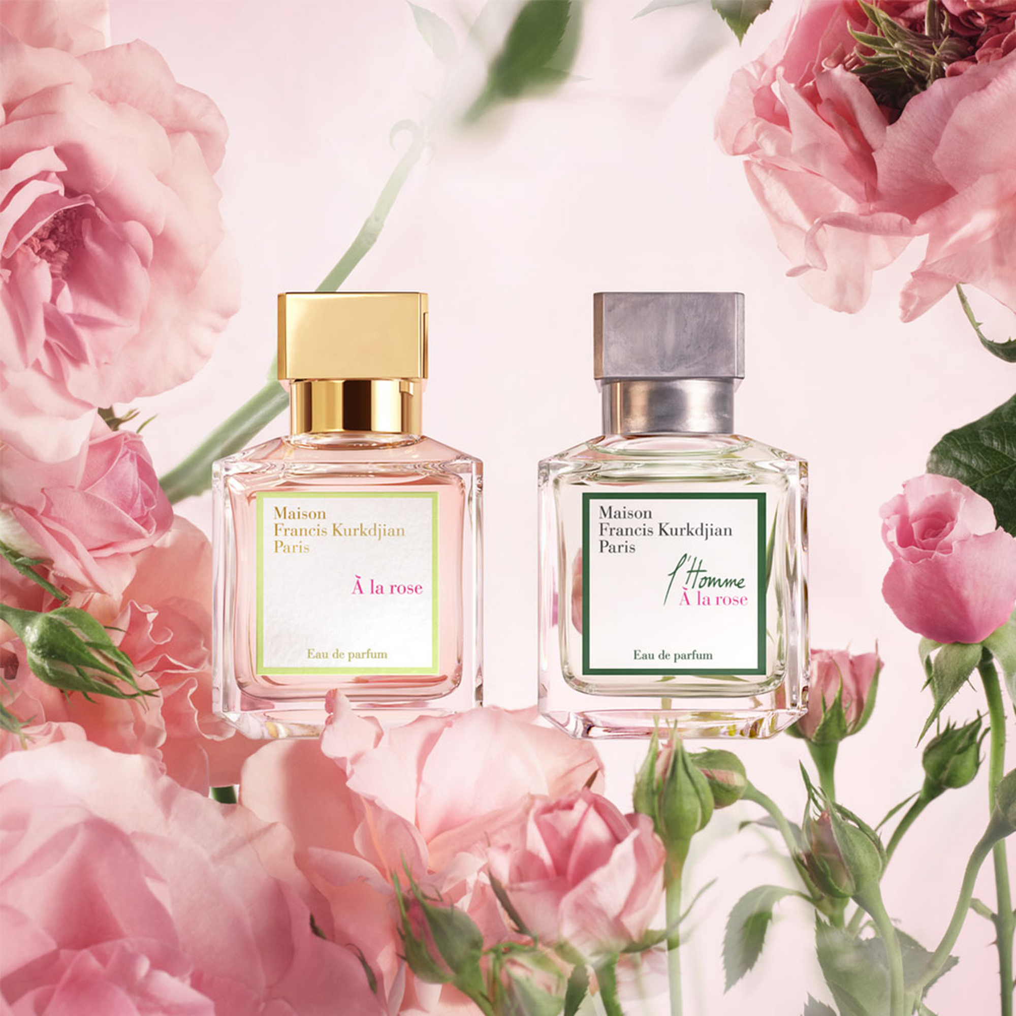 L'Homme À la Rose
