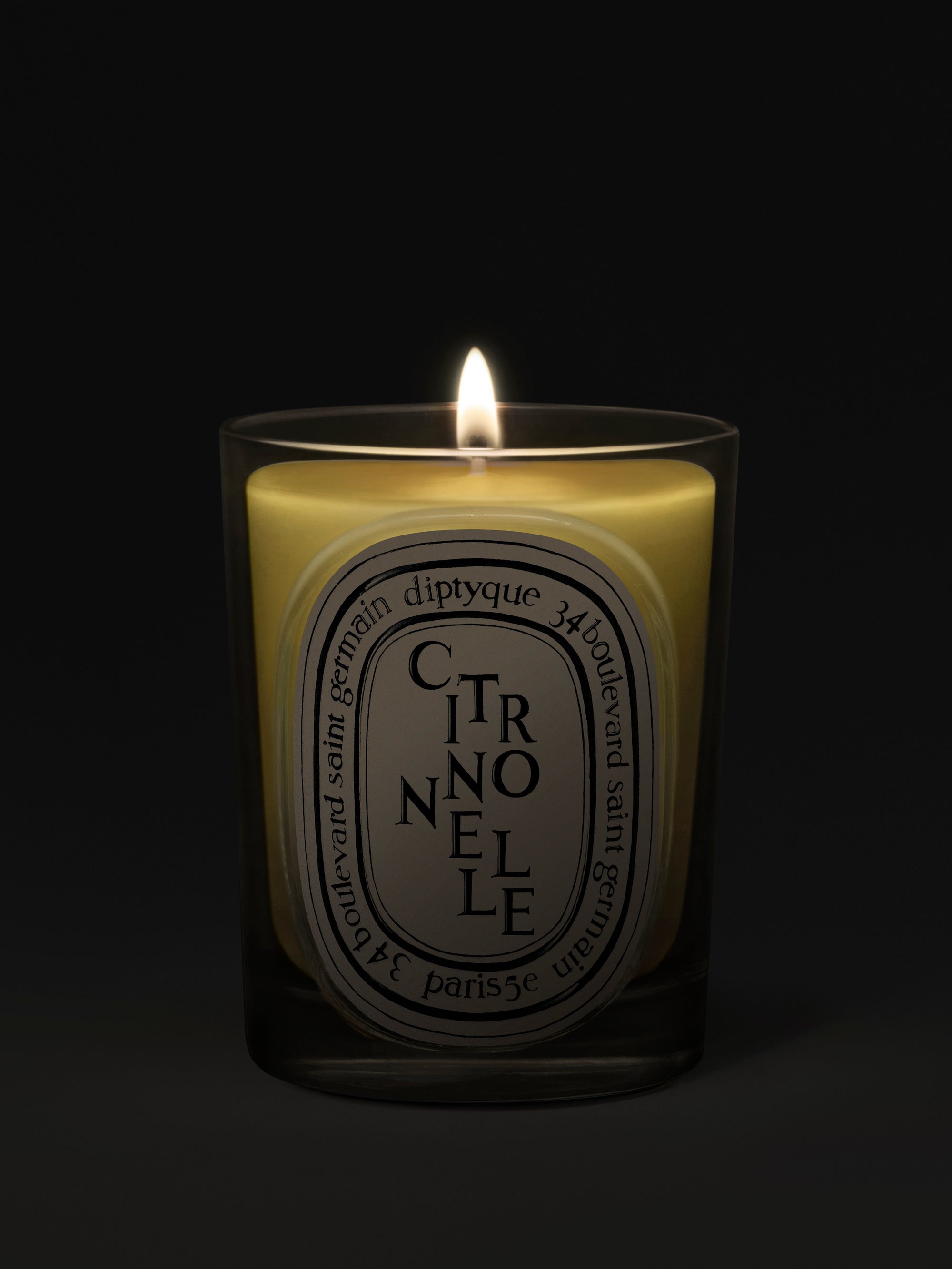 Citronnelle Classic Candle from Diptyque with a soft glow, exuding citrus fragrance in a glass holder.