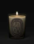 Figuier Classic Candle
