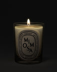 Mimosa Classic Candle