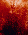 Rouge Chaotique