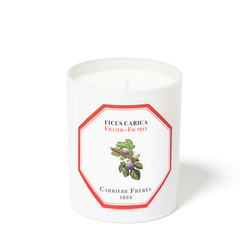 Fig Tree Scented Candle