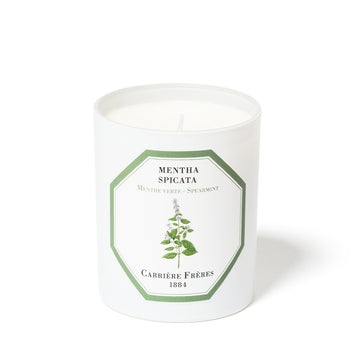 Spearmint Scented Candle