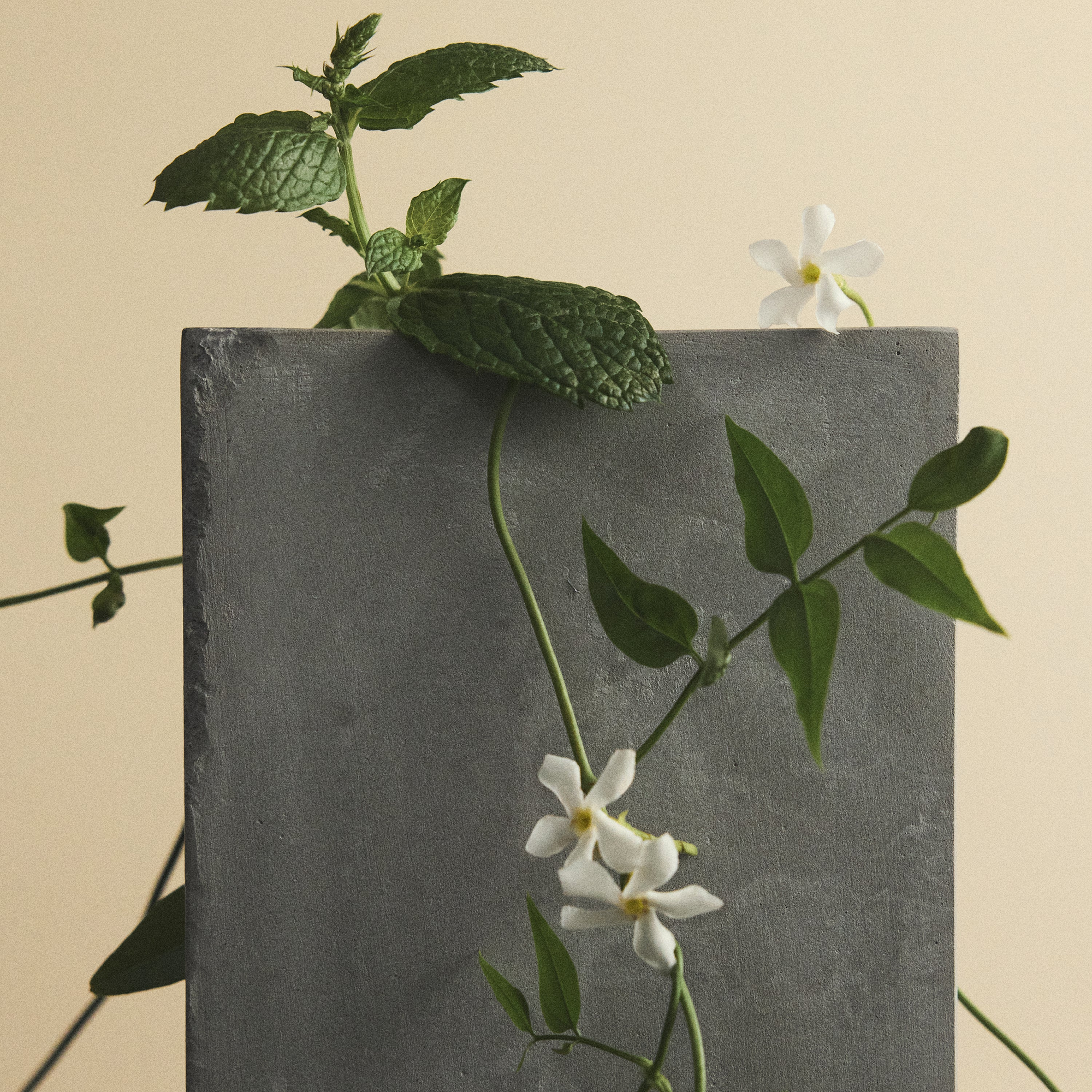 W.T. Sweet Distruption