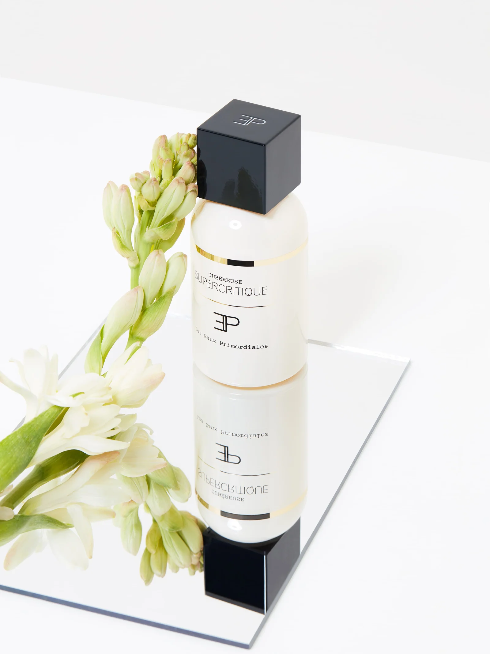 Tubéreuse Supercritique