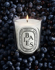 Baies Classic Candle