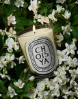 Choisya Classic Candle