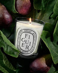 Figuier Classic Candle