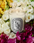 Freesia Classic Candle