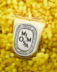 Mimosa Classic Candle