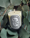 Eucalyptus Classic Candle