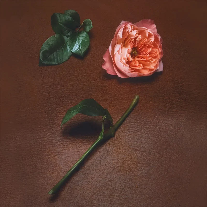 Rose Mosaïque Extrait de Parfum