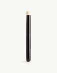 Blur Brush
