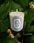 Noisetier duftlys