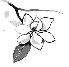 Eau de Magnolia