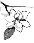 Eau de Magnolia