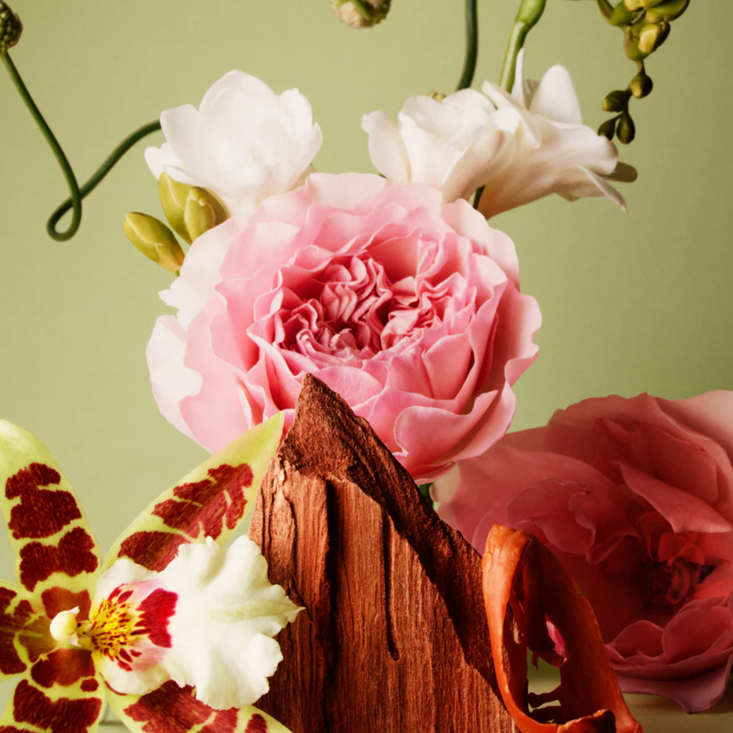 R.B. Une rose au paradis