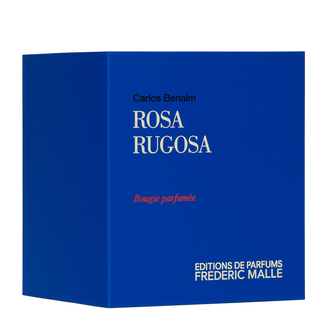 Rosa Rugosa